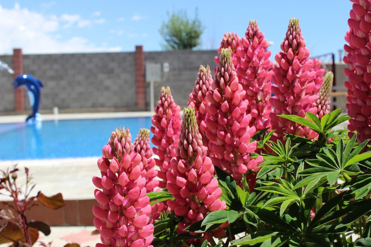 Zlata Inn Tamchy Exteriér fotografie